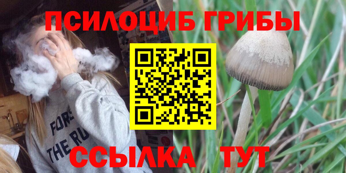 Псилоцибиновые грибы Psilocybine cubensis  Псилоцибиновые грибы Psilocybine cubensis  Вход с VPN  Нефтекумск 