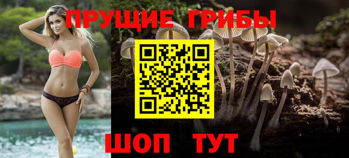 Псилоцибиновые грибы Magic Shrooms Нефтекумск